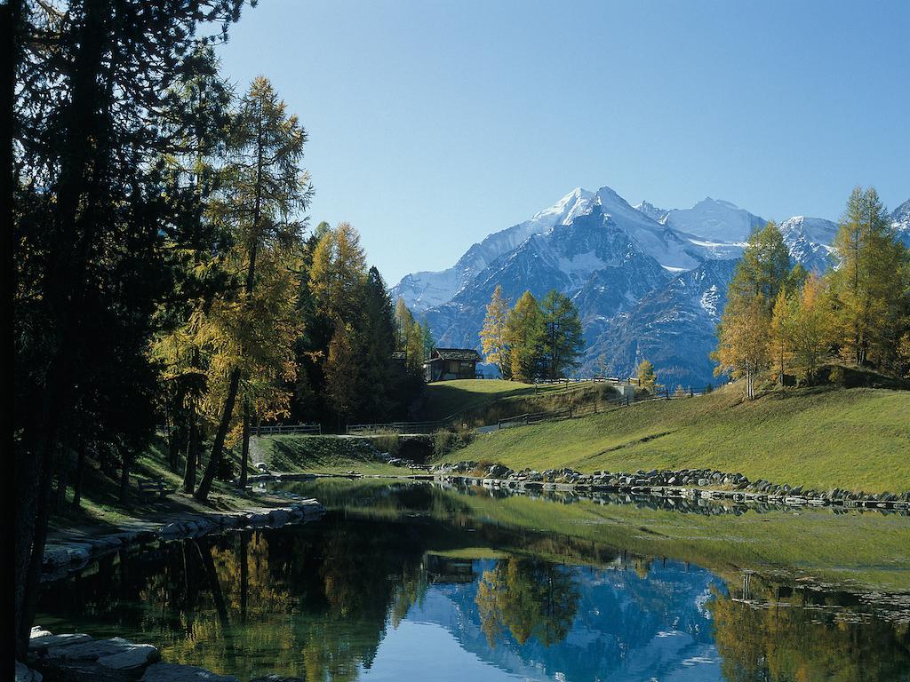 Chalet Soldanella Apartment Grachen Exterior photo